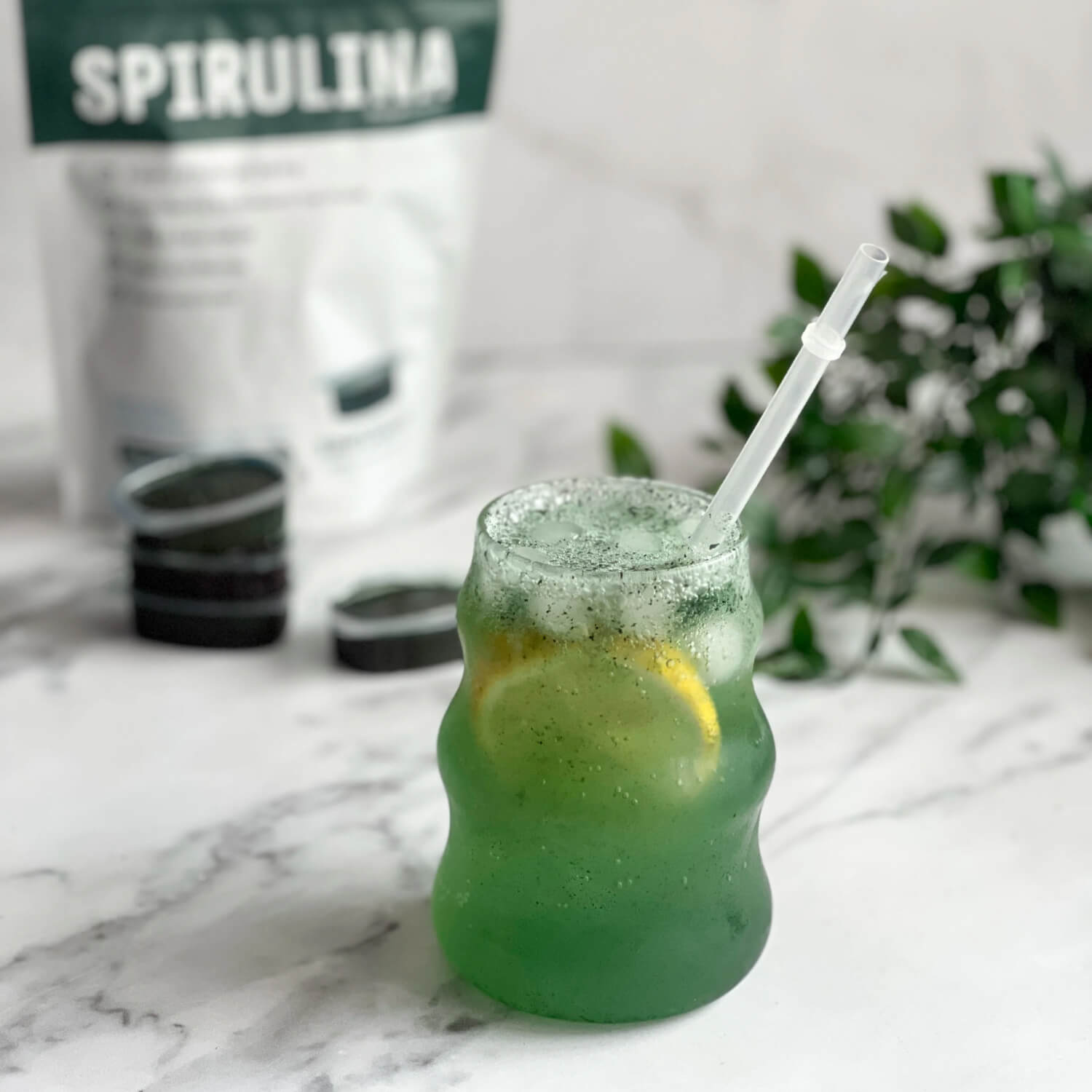 Fresh Frozen Spirulina