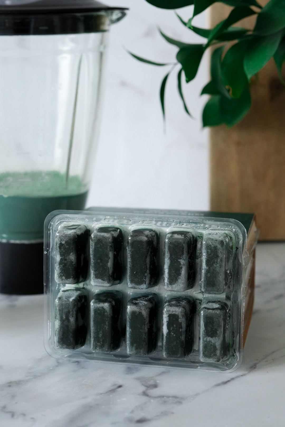 Fresh Spirulina SimpliiGood